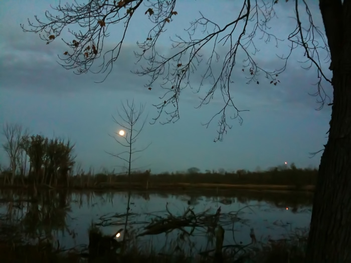 Dune Wetlands Tonight, photograph, 2017