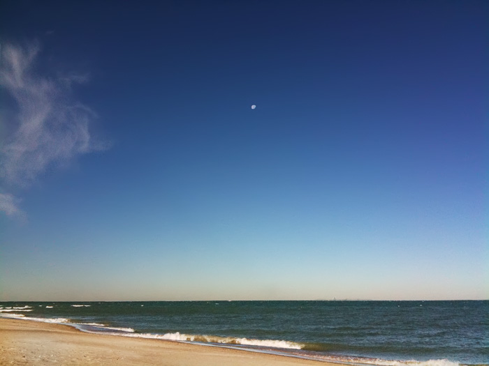 Moon over Chicago--Morning, photograph, 2017