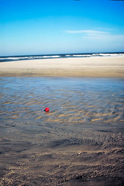Apple on beach