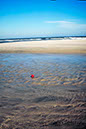 Apple on beach