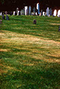 Cemetary at hilltop