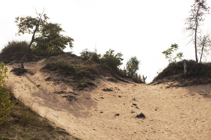 bifurcated%20sand%20dune%20trail