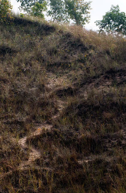 crooked%20trail%20up%20dune