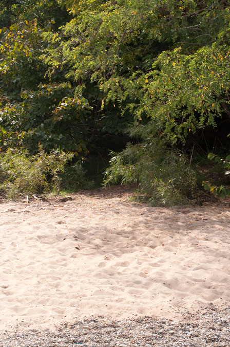 path%20hidden%20from%20beach