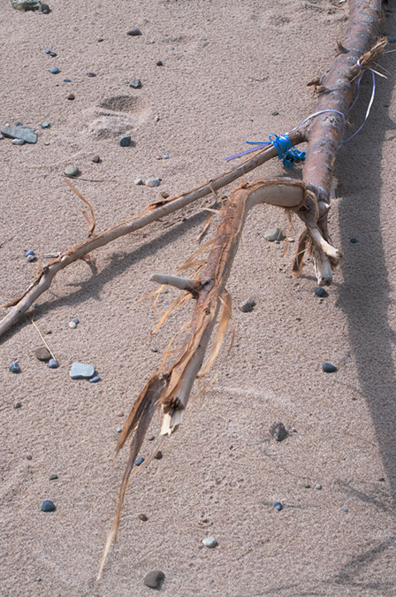 ribbon%20on%20driftwood