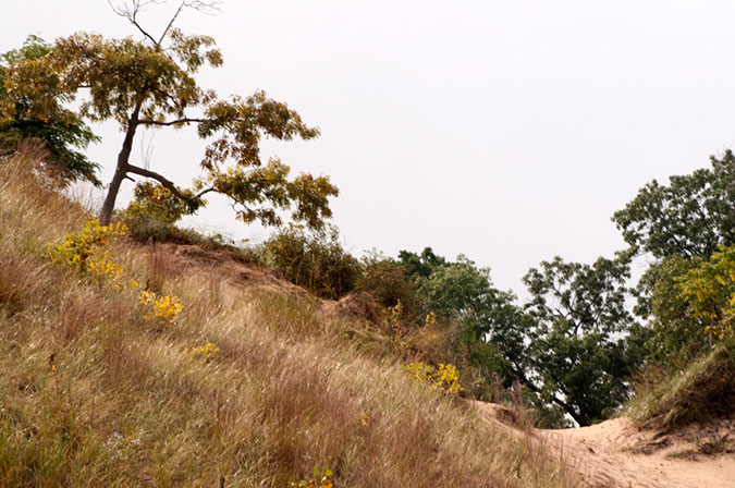 trail%20over%20dune%20top