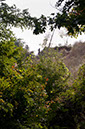 Trail%20sentinel%201