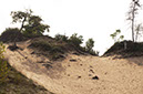 bifurcated%20sand%20dune%20trail