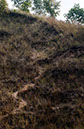 crooked%20trail%20up%20dune