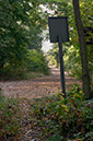 the%20road%20back